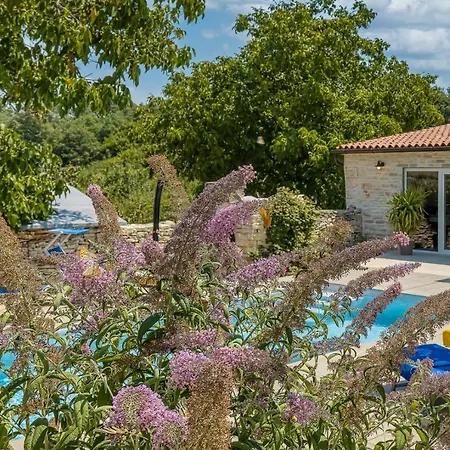 Villa Butterfly Kanfanar