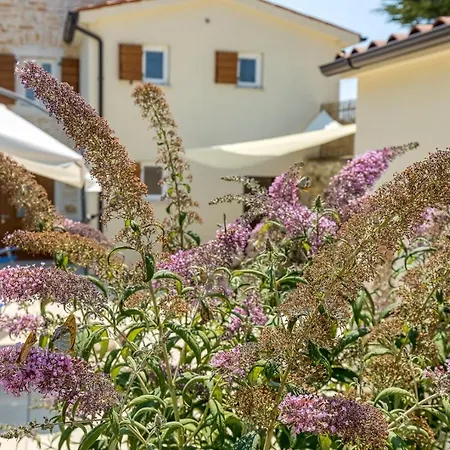 Butterfly * Kanfanar