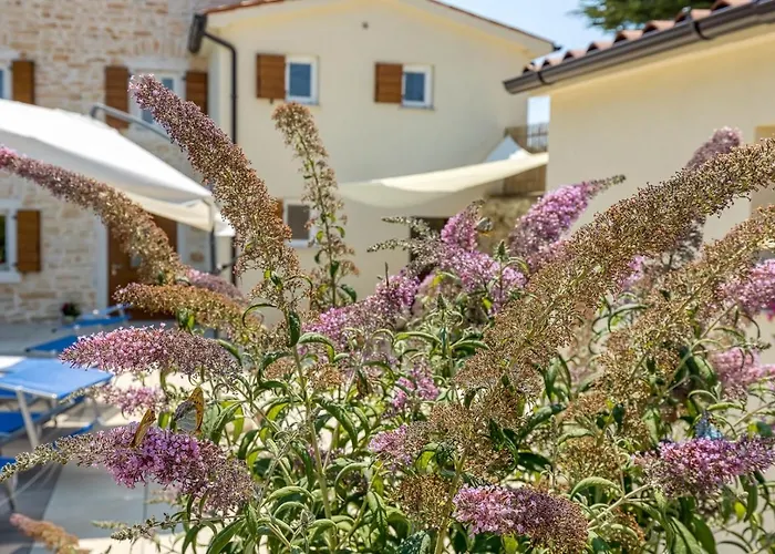 Butterfly * Kanfanar